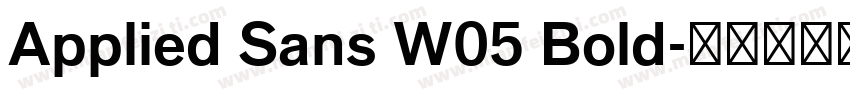 Applied Sans W05 Bold字体转换